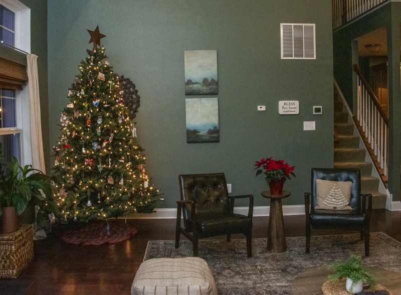 Family ornaments decorate the Christmas tree in the living room of Kelly and Chris Cole’s West Shore Drive home.